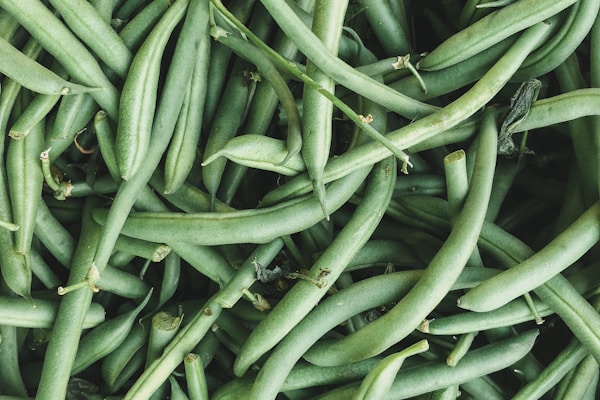 豆類・スプラウト 枝豆・スナップエンドウなど