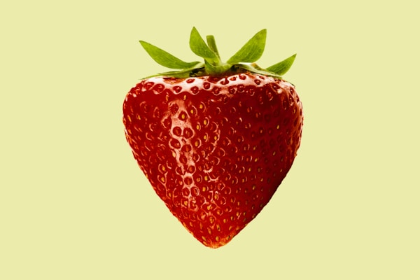 香味野菜・ハーブ バジル・パクチー・大葉など