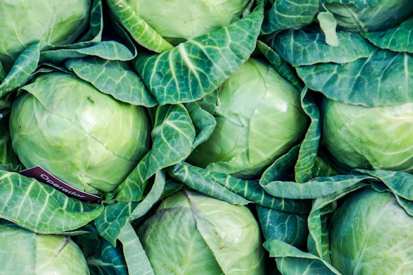 根菜類 大根・人参・ごぼうなど